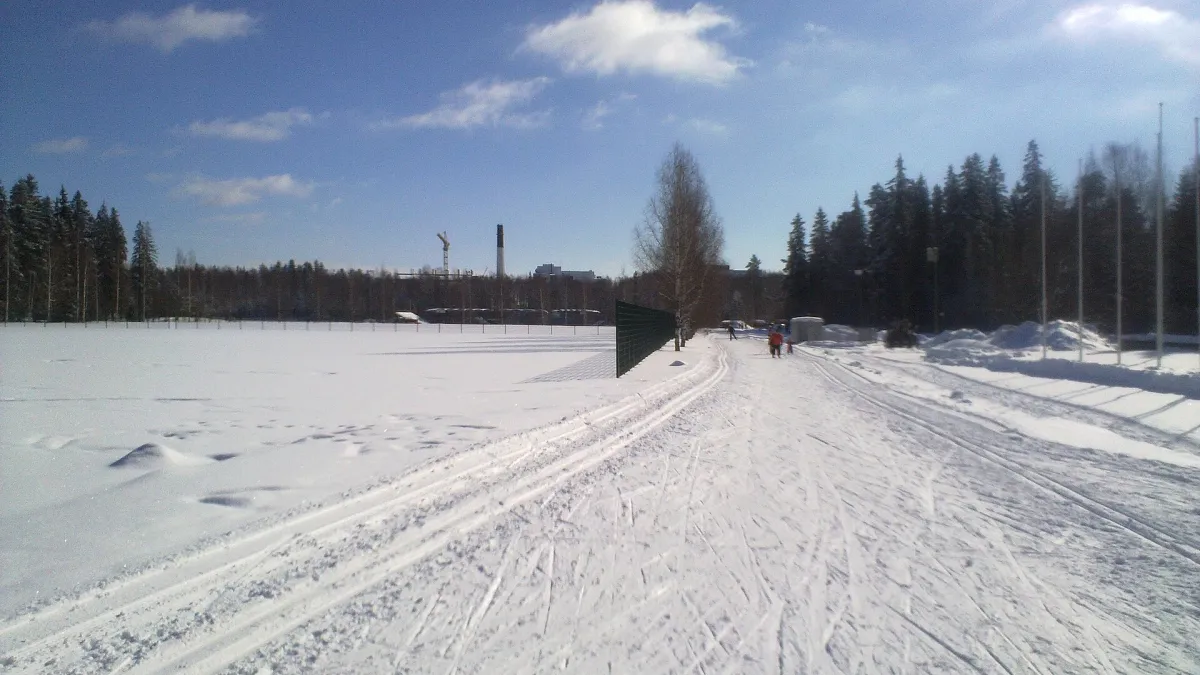 Kauppi