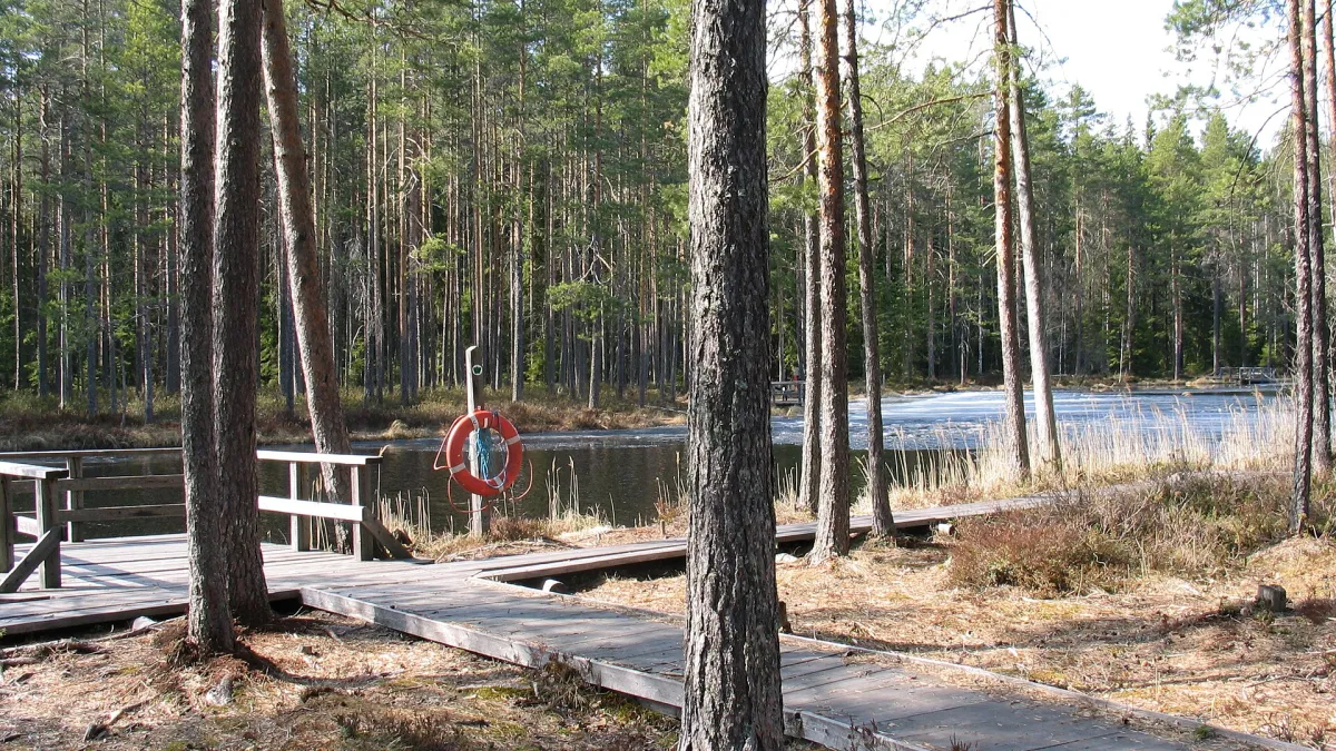 Koukkujärvi