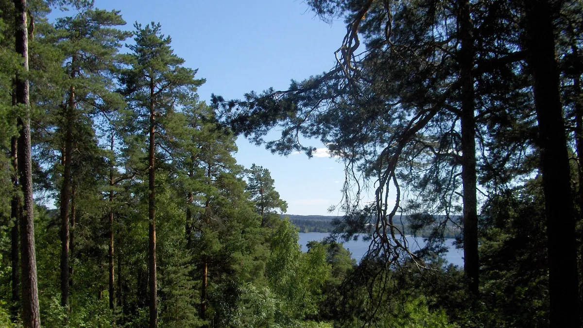 Pyynikki ridge in Tampere