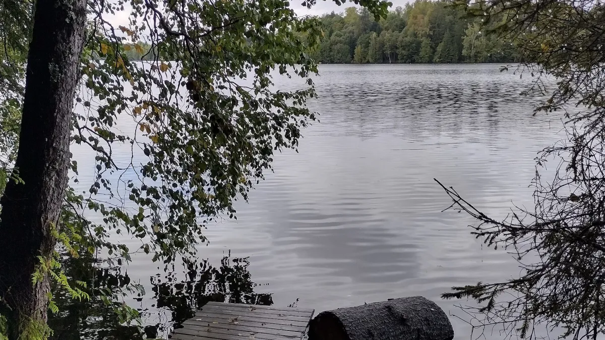 Shore of Kaukajärvi (nearer to Kangasala) in Annala (Tampere, Finland).