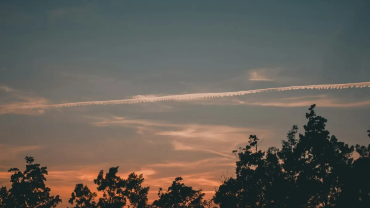 Orange and blue sunset sky above dark tree silhouettes