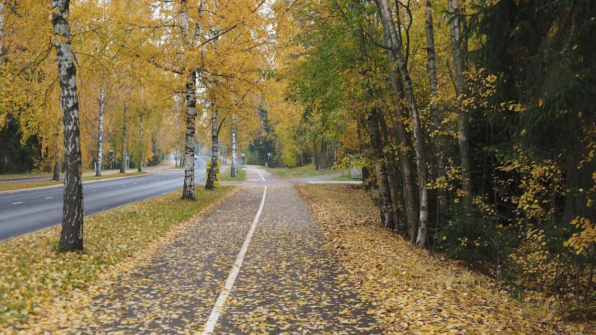 Tesomankatu in Tesoma, Tampere, Finland, in October.