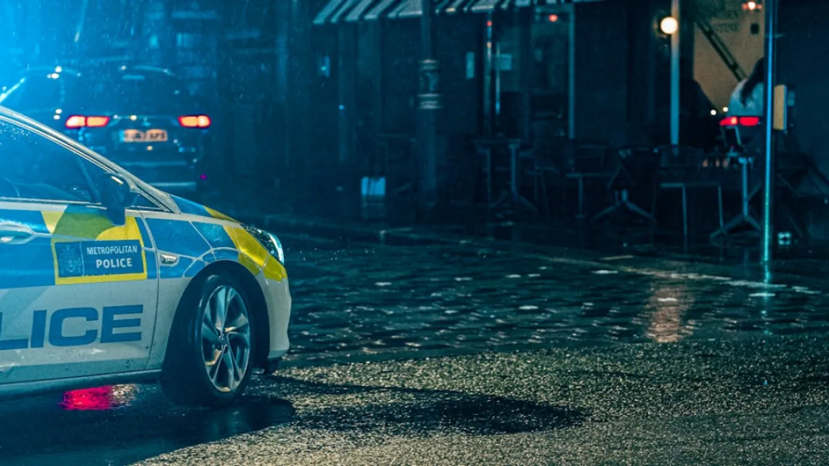 a police car parked on the side of the road