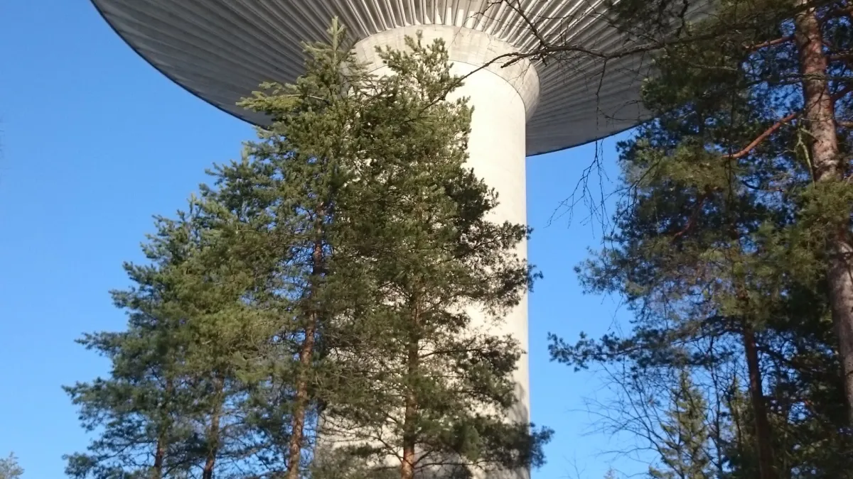 Lodged city tree collapses onto Peltolammi house after residents' warnings went unanswered
