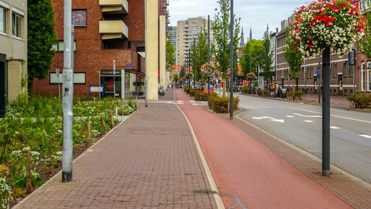 A paved walkway beside a red bike lane and street