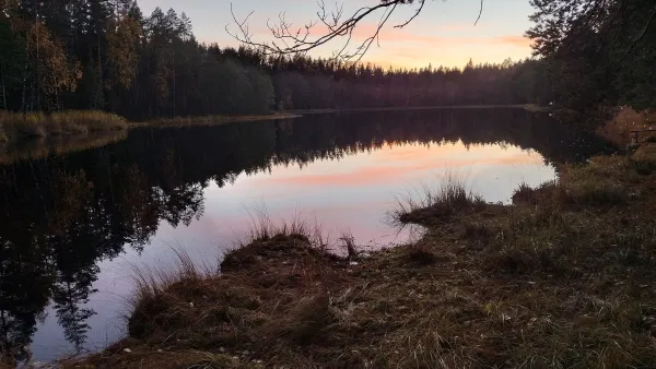 Record 65 Take Part in English Mushroom Walk at Hervantajärvi
