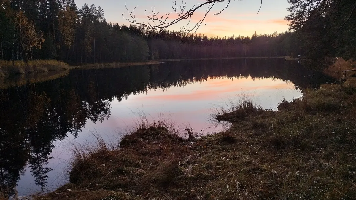 A small lake in Hervanta, Tampere. Picture taken at evening.