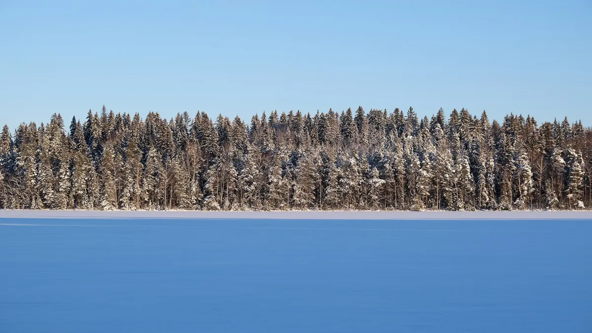 Viikinsaari Island in Lake Pyhäjärvi.