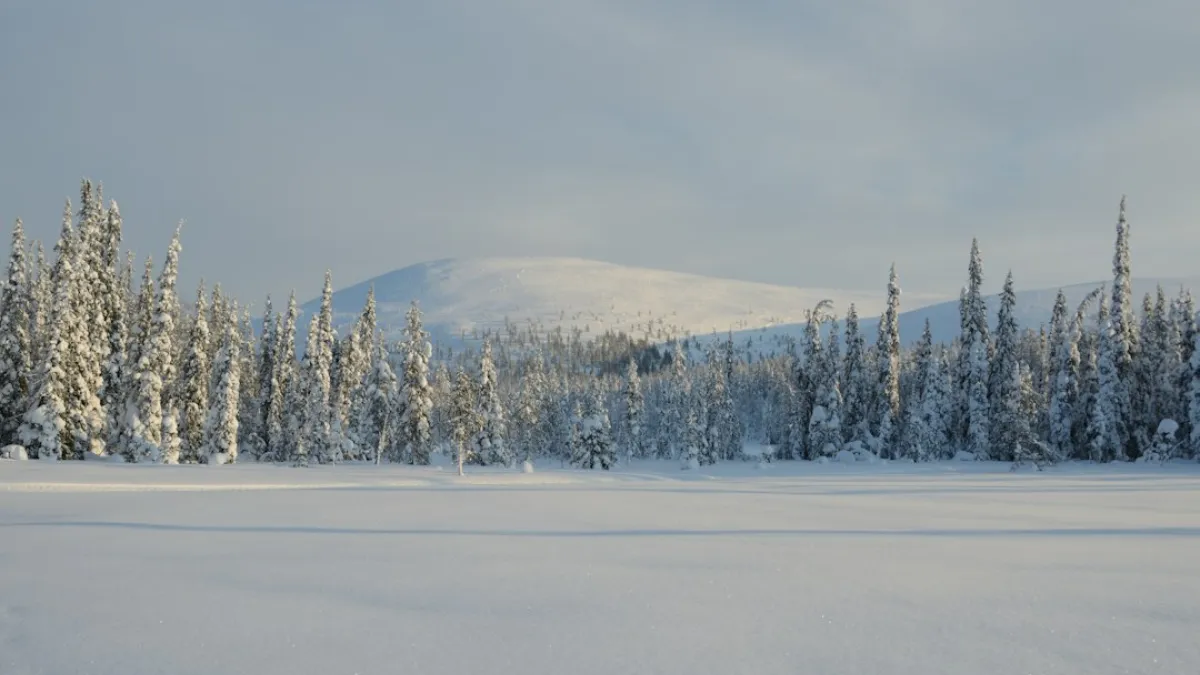 Beautiful view in Pallas-Yllästunturi National Park.