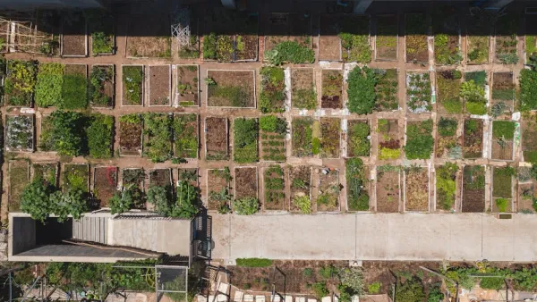 Applications Open 7 April for Tampere's Annual Urban Farming Plots