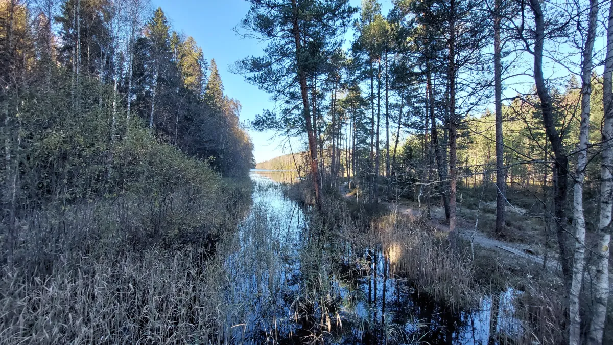 Why is Suolijärvi not in Tampere's nature protection program?
