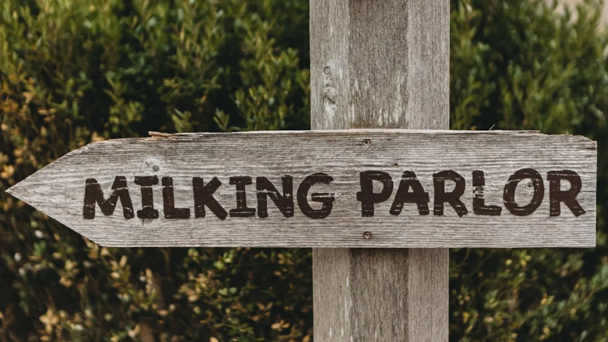 Milking Parlor