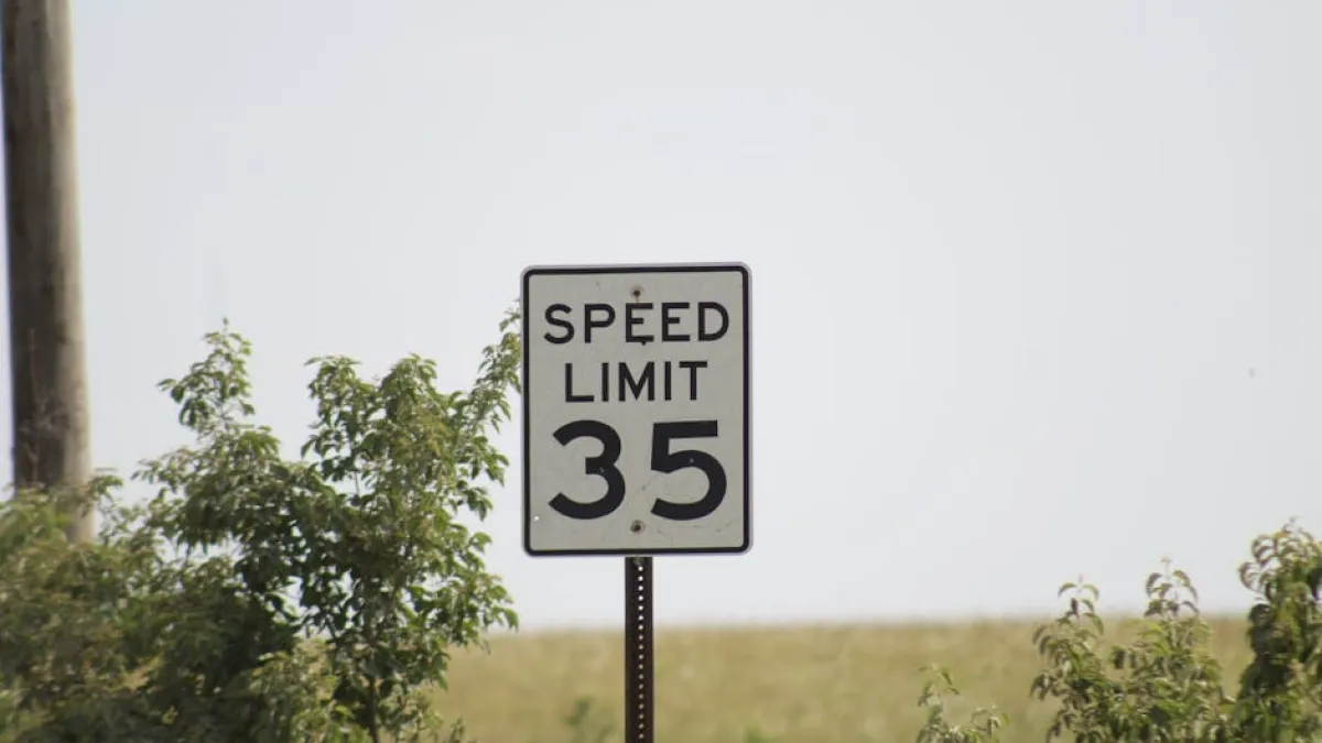 A speed limit sign reading '35' surrounded by green plants in a rural setting.