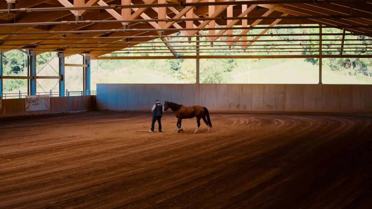 Person and horse in indoor riding arena