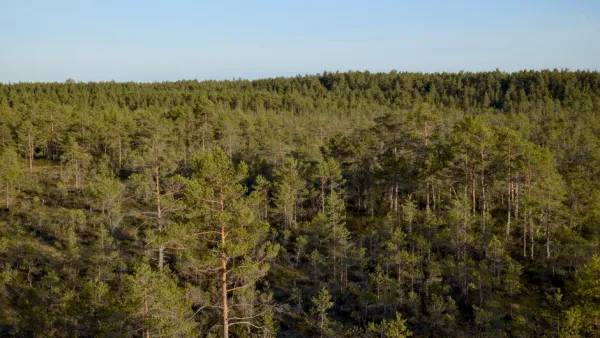 Pirkkala to raise protected land to 10% by 2030, adding over 100 hectares