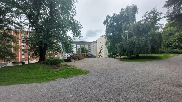 Osmonpuisto tree removal and path upgrade planned for next year