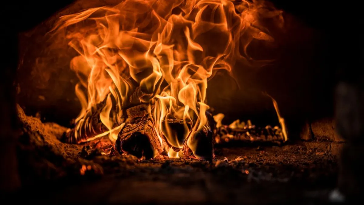A close-up view of dancing flames in a cozy wood-fired oven.