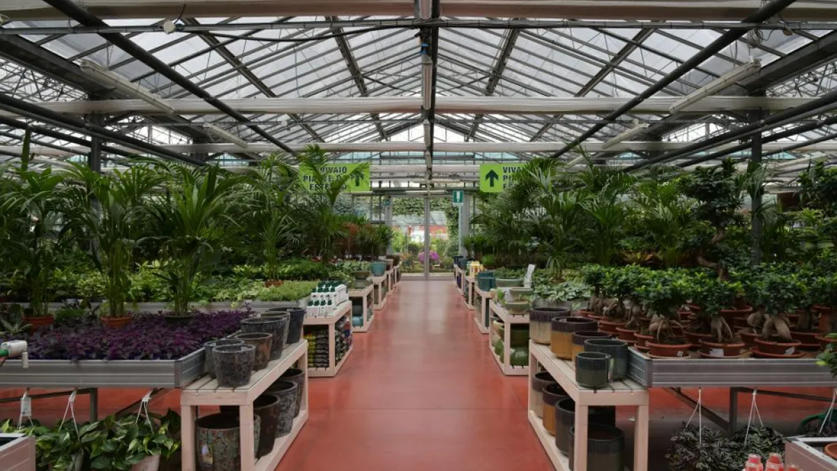 Explore a vibrant greenhouse filled with diverse plants and pots in Rizza, Veneto, Italy.