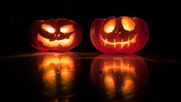 Tampere Growers Prime Giant Pumpkins for Kaleva Hall and National Contest