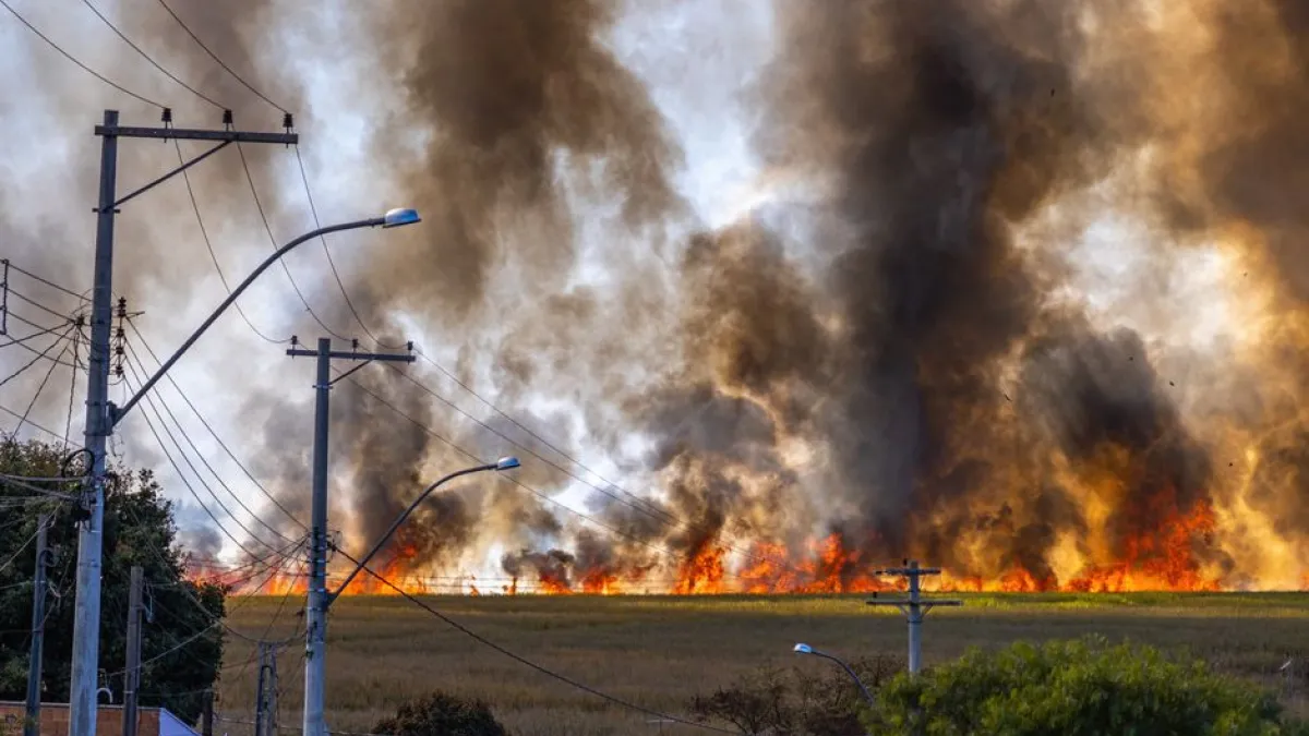 Resident Douses 10-square-metre Field Fire on Joutsiniementie in Kangasala