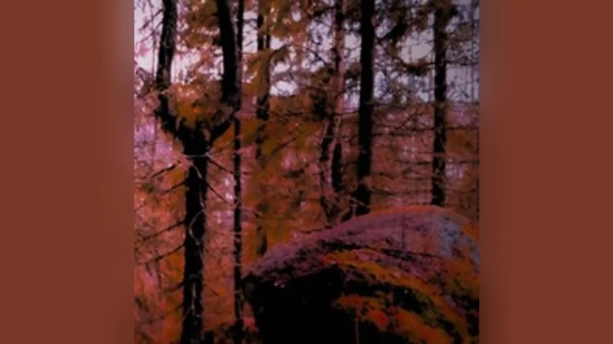 Mystisen metsän kekri